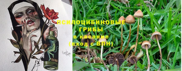 спиды Волосово