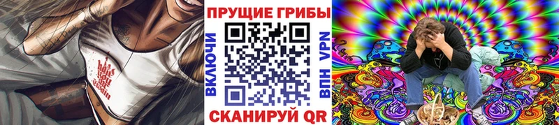 Галлюциногенные грибы Psilocybe  мориарти официальный сайт  Дедовск  наркотики  мега ONION 